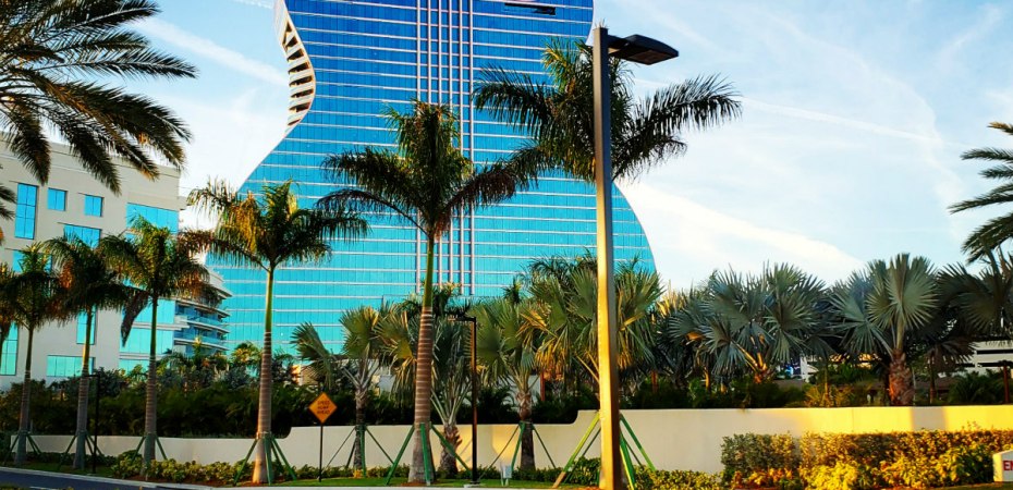 hotel in florida shaped as a guitar, with palms and a blue sky